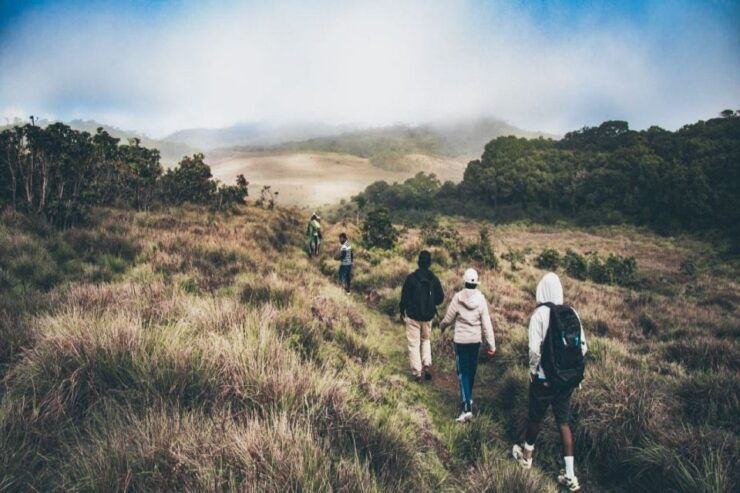 Visit Horton Plains and Nuwara Eliya From Kandy - Tour Duration and Availability