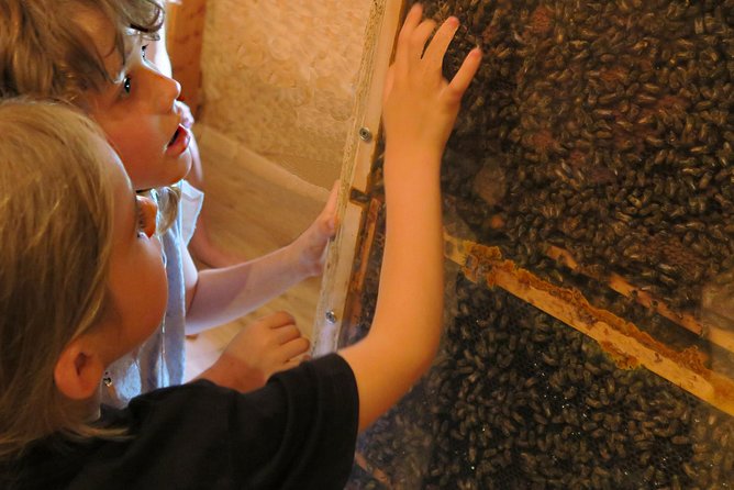 Visit - Immersion in the Heart of the Bee World! - What to Expect
