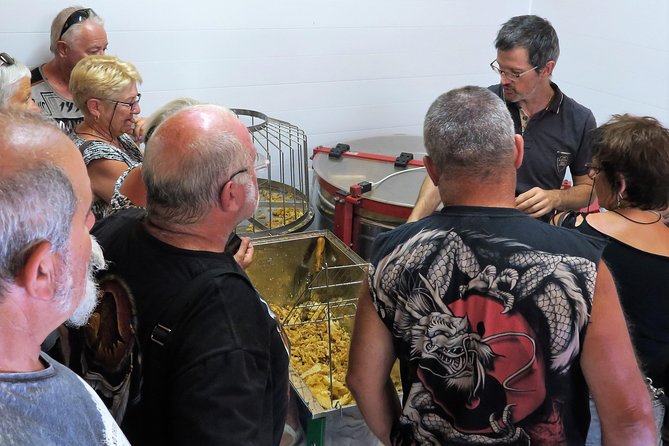 Visit - Immersion in the Heart of the Bee World! - Tasting of Honeys