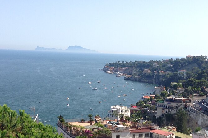 Visit in Pompeii - Naples Private Tour With Ada - Customer Reviews