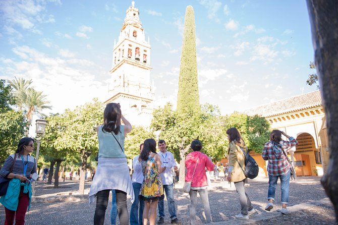 Visit in Spanish to the Cathedral Mosque. Does Not Include Entrance Ticket - Reviews