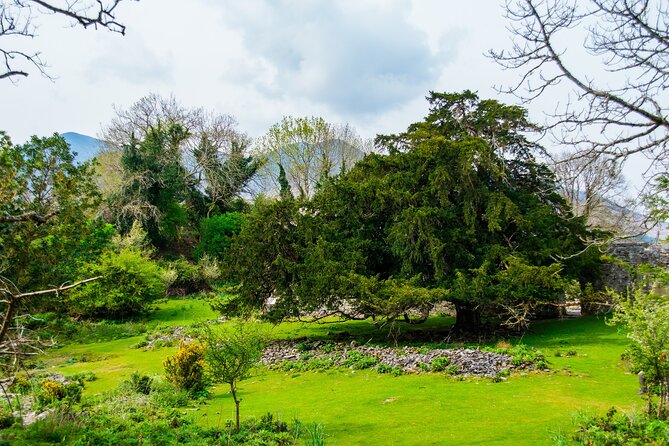 Visit Innisfallen Island - Reviews and Questions