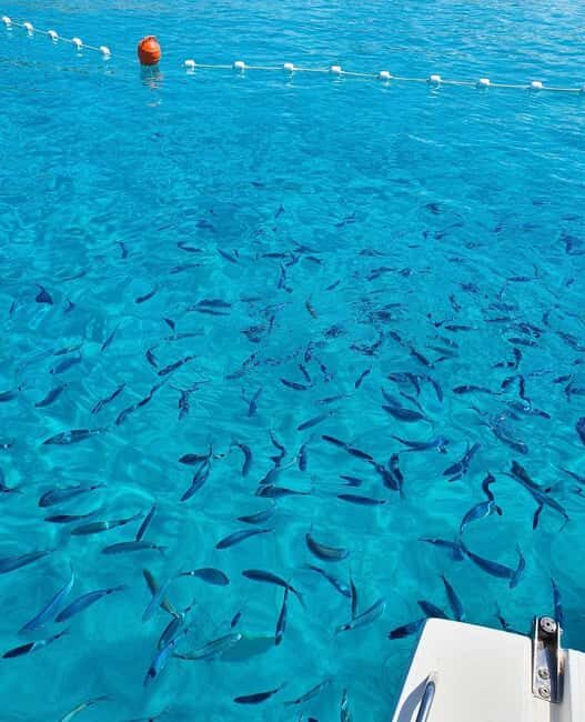 Visit Island of Dugi Otok with Golubinka Cave or NP Kornati - The Journey Begins: What to Expect from This Private Croation Boat Adventure