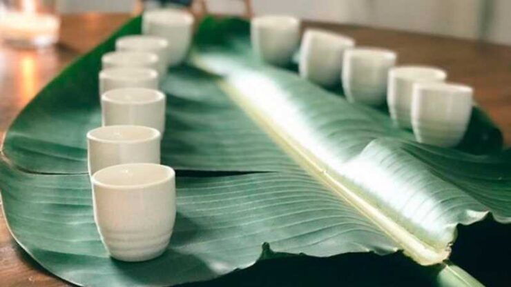 Visit Kensho in the Ebro Delta + Miso Tasting - Recognition and Background