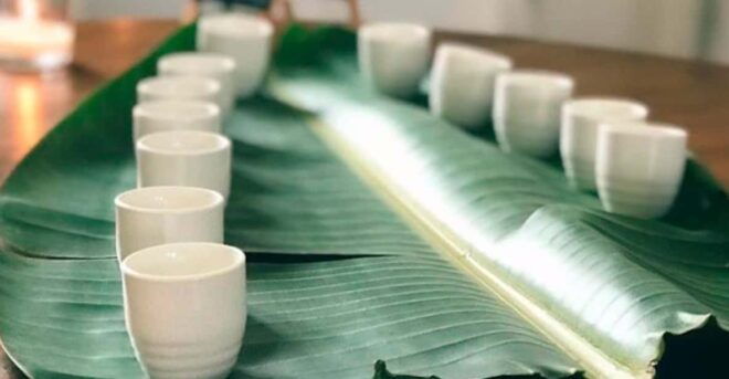 Visit Kensho in the Ebro Delta + Miso Tasting - Products Offered