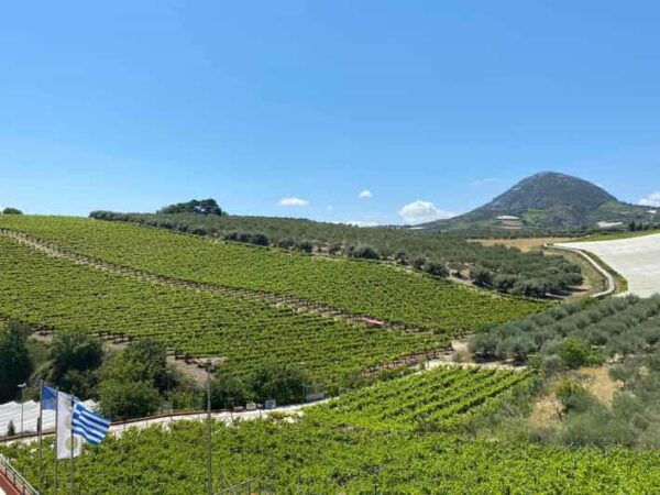 Visit Knossos and the Valley of Zeus - Exploring the Valley of Zeus