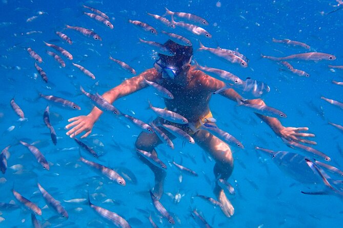 Visit Lobos Island With Snorkel From Corralejo, Fuerteventura - Traveler Photos