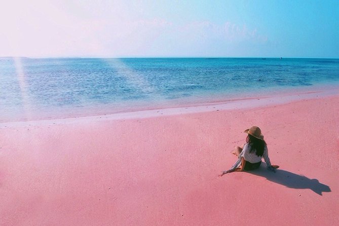 Visit Lombok Island: Picturesque Pink Beach With French-Speaking Guide - Booking Details for Lombok Island Visit