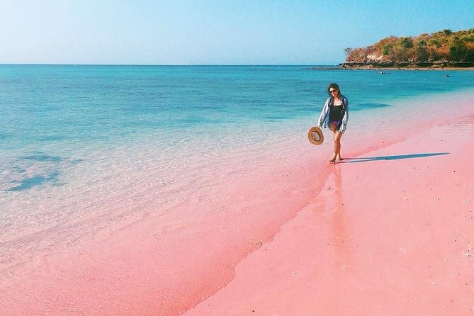 Visit Lombok Island: Picturesque Pink Beach With French-Speaking Guide - Assistance and Support Information