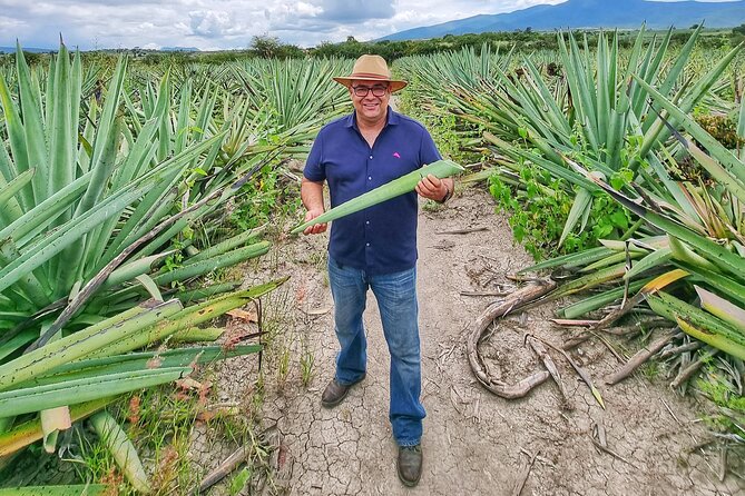 Visit Monte Albán, Hierve El Agua, Teotitlán Del Valle, and Mezcal. - Mezcal Tasting and Production Process