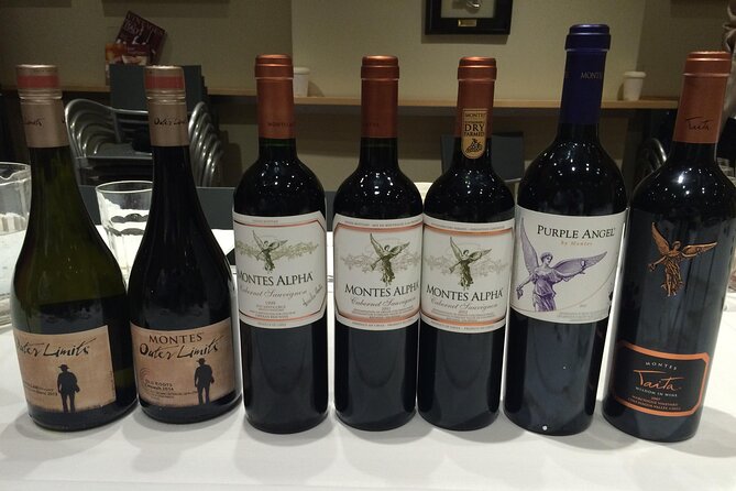 Visit Montes Winery (7th World Best Wine) & Transfer to Hotel - Montes Winery Tour Details