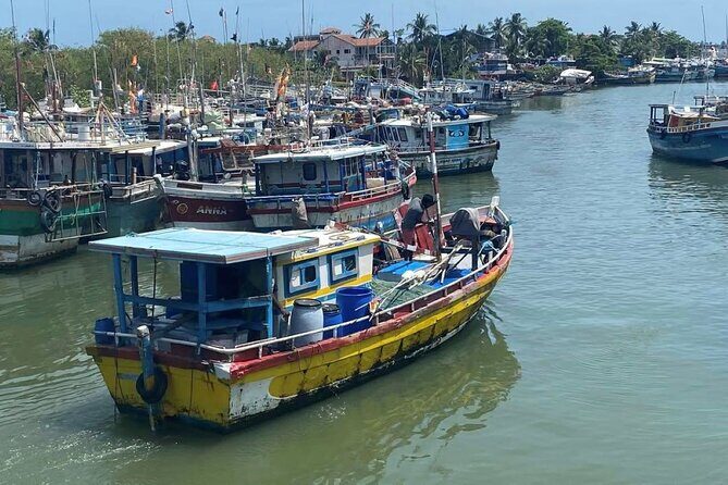 Visit Negombo by Scooty - All Inclusive - Introduction: What to Expect from the Negombo Scooty Tour