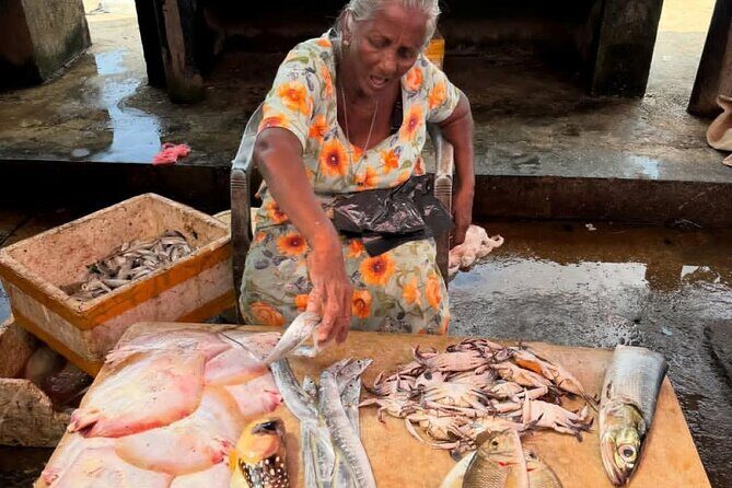 Visit Negombo by Scooty - All Inclusive - Insights from Reviewers