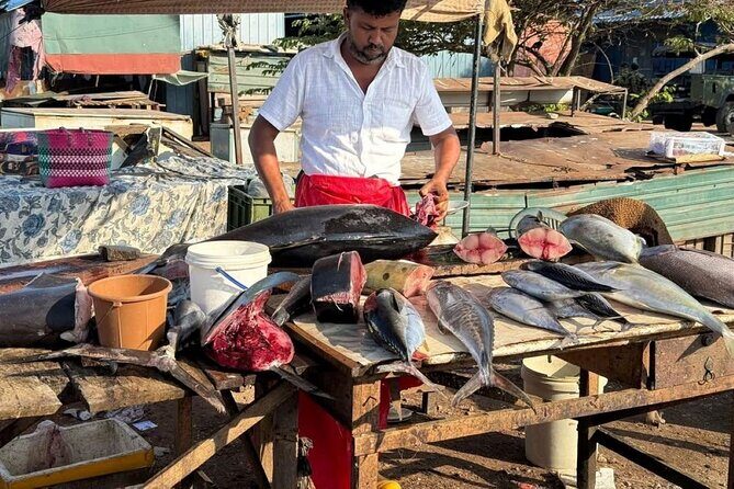 Visit Negombo by Scooty - All Inclusive - Practical Details: Transportation, Duration, and Booking