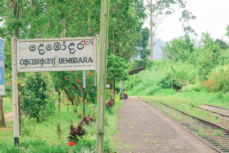 Visit Nine Arch Bridge,Ravana & Diyaluma Falls,Safari - Activity Details