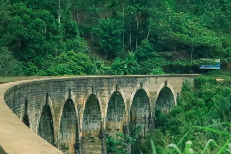 Visit Nine Arch Bridge,Ravana & Diyaluma Falls,Safari - Tour Experience