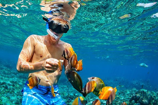 Visit Nusa Dua Beaches With Private Shuttle Services - Pricing and Booking Process