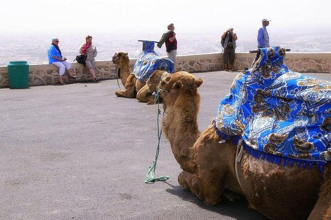 Visit of Agadir - Dining and Cuisine in Agadir