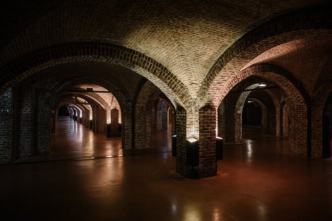 Visit of an Underground Urban Farm - Farming Techniques