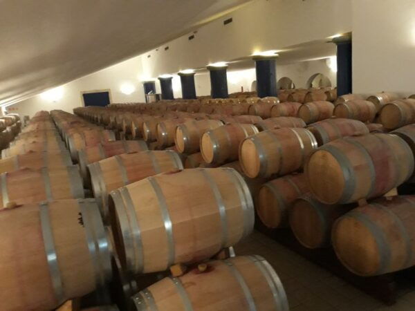 Visit of Bordeaux and Excursion in a Vineyard - Common Questions