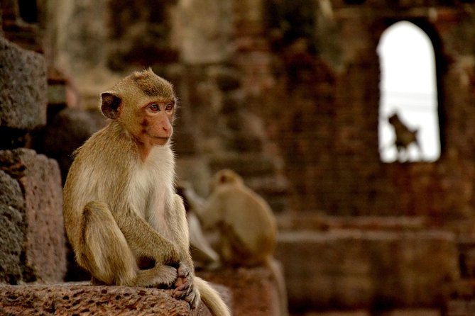Visit of Lopburi, the Monkeys City, From Bangkok With Your English-Speaking Guide - Itinerary