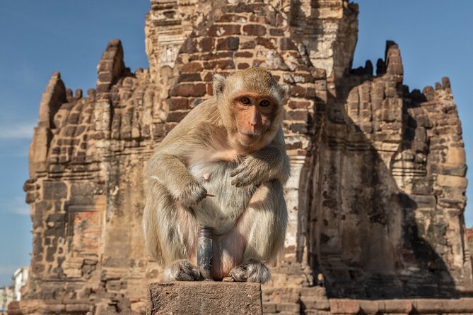 Visit of Lopburi, the Monkeys City, From Bangkok With Your English-Speaking Guide - The Sum Up