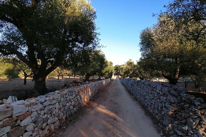 Visit of MARTINA FRANCA-CISTERNINO and CEGLIE MESSAPICA From Bari - Tour Overview