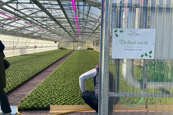 Visit of the Basilic Greenhouses and Pesto Tasting in Genova Prà - Good To Know