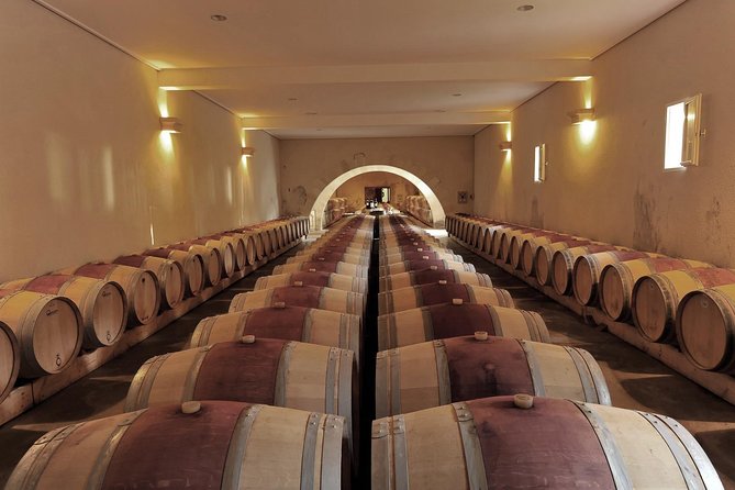 Visit of the Castle and Wine Tasting in Margaux - Castle and Wine Tasting Overview
