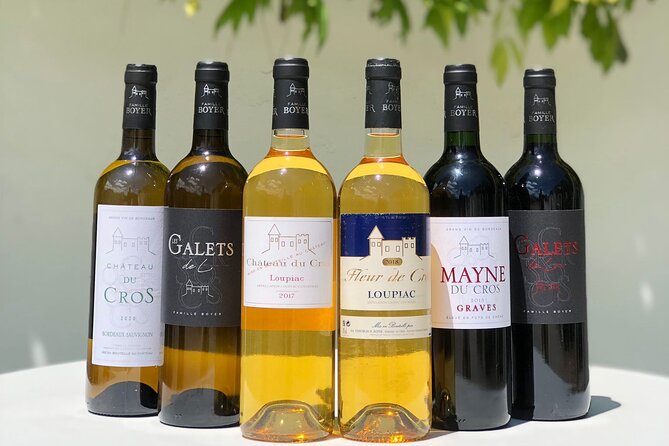 Visit of the Château Du Cros and Introduction to Tasting - Explore the Vineyards and Winemaking Process