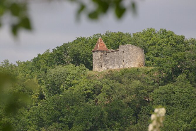 Visit of the Château Du Cros and Introduction to Tasting - Delve Into the Châteaus Rich History