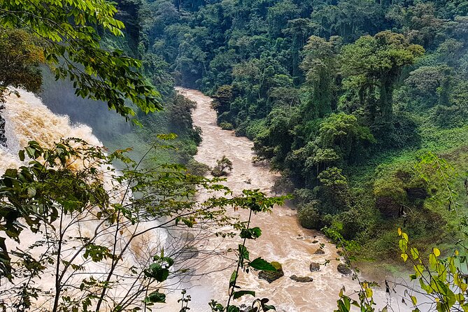 Visit of the Ekom Nkam Waterfalls From Douala - Reviews Summary