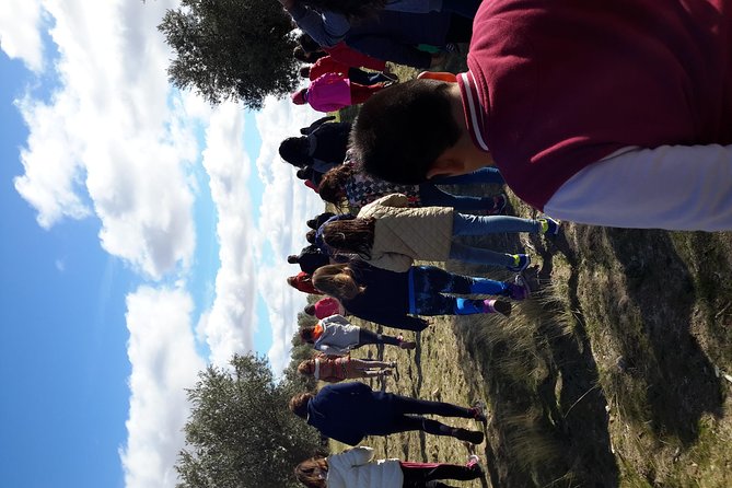 Visit Olive Grove Centenary With Oil Tasting Course - Benefits of Taking an Oil Tasting Course