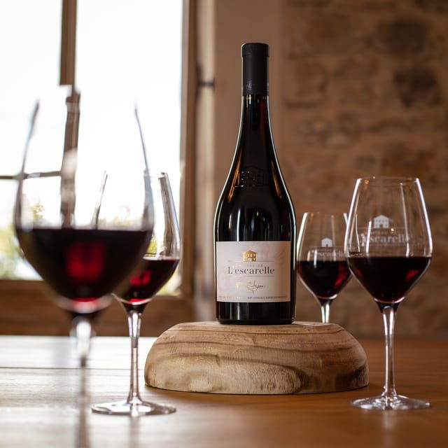 Visit One of Provences Most Modern Wineries at Lescarelle! - Winemaking Process Insights