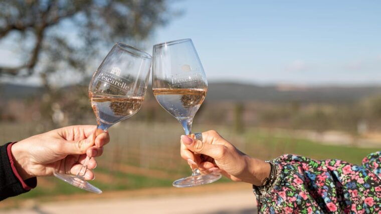 Visit One of Provences Most Modern Wineries at Lescarelle! - Frequently Asked Questions