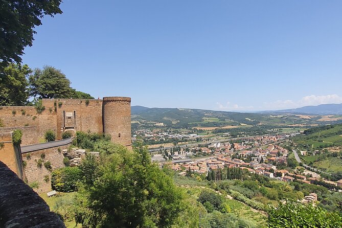 Visit Orvieto From Rome + Lunch & Wine Tasting - One Day Private Tour - Accessibility Information