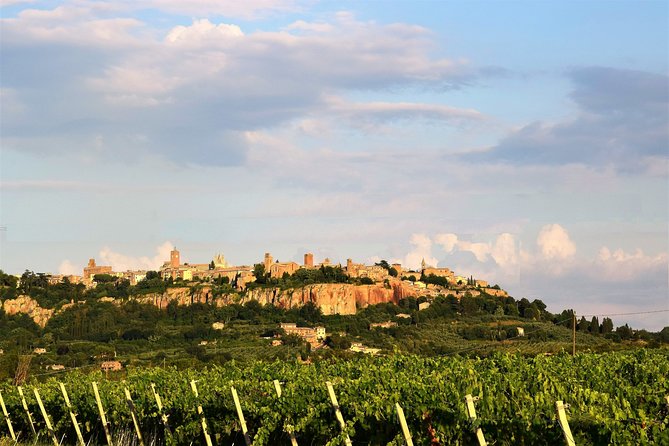 Visit Orvieto From Rome + Lunch & Wine Tasting - One Day Private Tour - Booking and Cancellation Policy