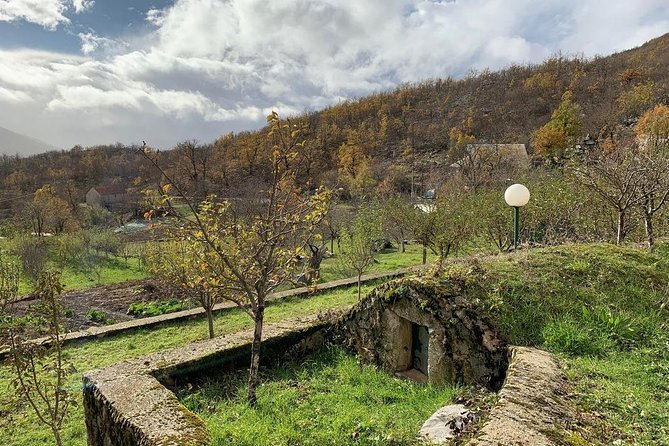 Visit Ostrog Monastery and Traditional Rural Household - Montenegro Private Tour - Price and Availability Details