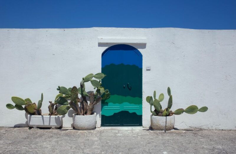Visit Ostuni, Locorotondo & Polignano: Private or Group tour - The Sum Up