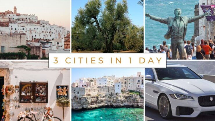 Visit Ostuni, Locorotondo & Polignano! Private Tour - Tour Details