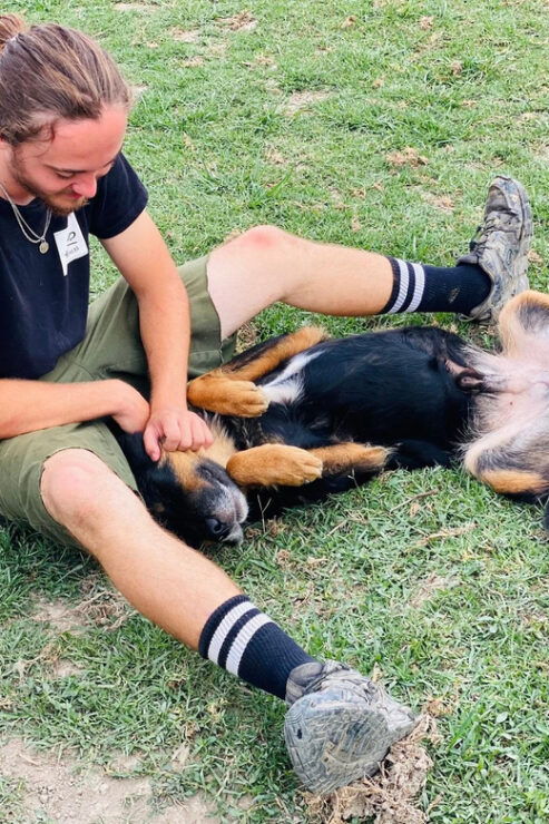 Visit Our Non-Profit Animal Sanctuary in Kathmandu! - Key Points
