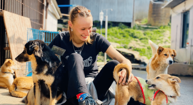 Visit Our Non-Profit Animal Sanctuary in Kathmandu! - Tour Itinerary