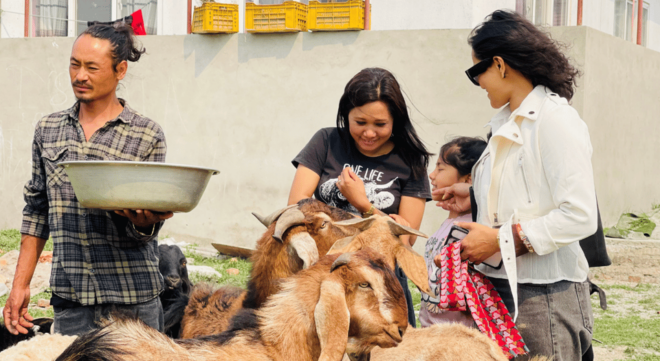 Visit Our Non-Profit Animal Sanctuary in Kathmandu! - Booking Process
