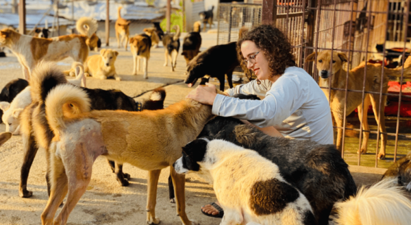 Visit Our Non-Profit Animal Sanctuary in Kathmandu! - Volunteer Opportunities