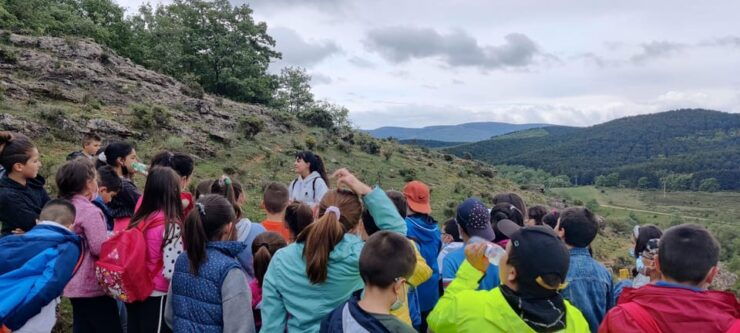 Visit Paleolithic Live 4x4 - Good To Know