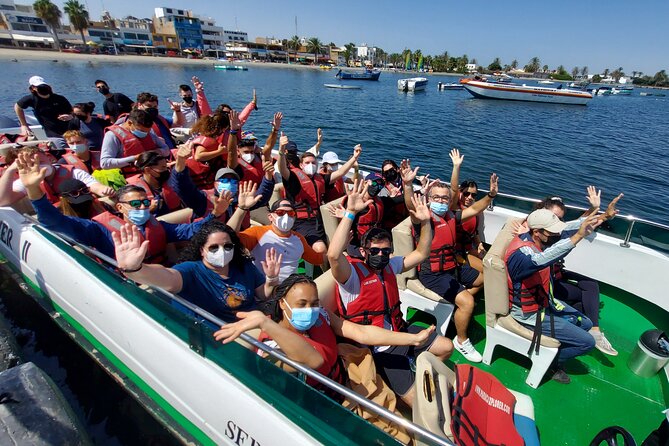 Visit Paracas and Huacachina, a Fantastic Day With All Inclusive - Traveler Photos and Reviews