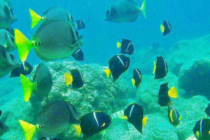 Visit Paradisiac Islands in La Paz - Pickup and Accommodations