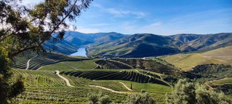 Visit Pinhão Visit and wine tasting Panoramic cruise - Practical Considerations