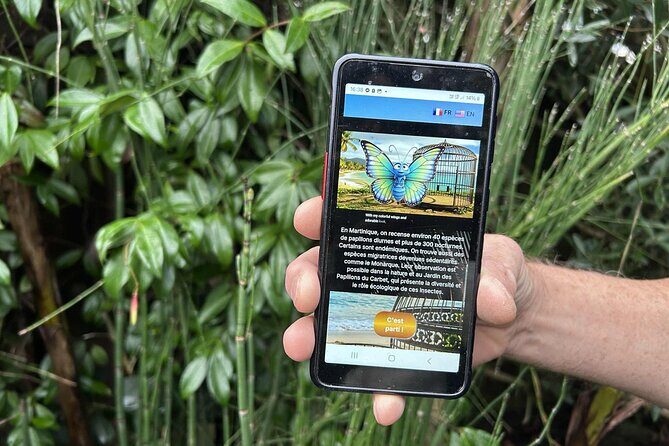 Visit Pointe-à-Pitre with a fun and fun track game! - An Overview of the Experience