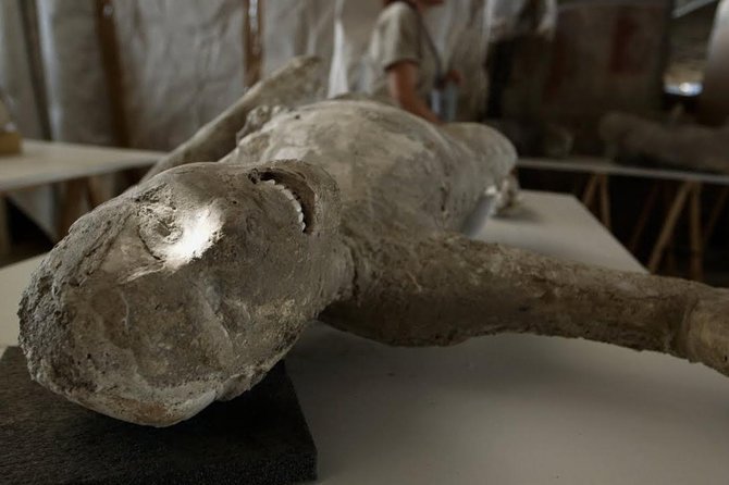 Visit Pompeii Sorrento Positano From Naples - Free Time in Sorrento